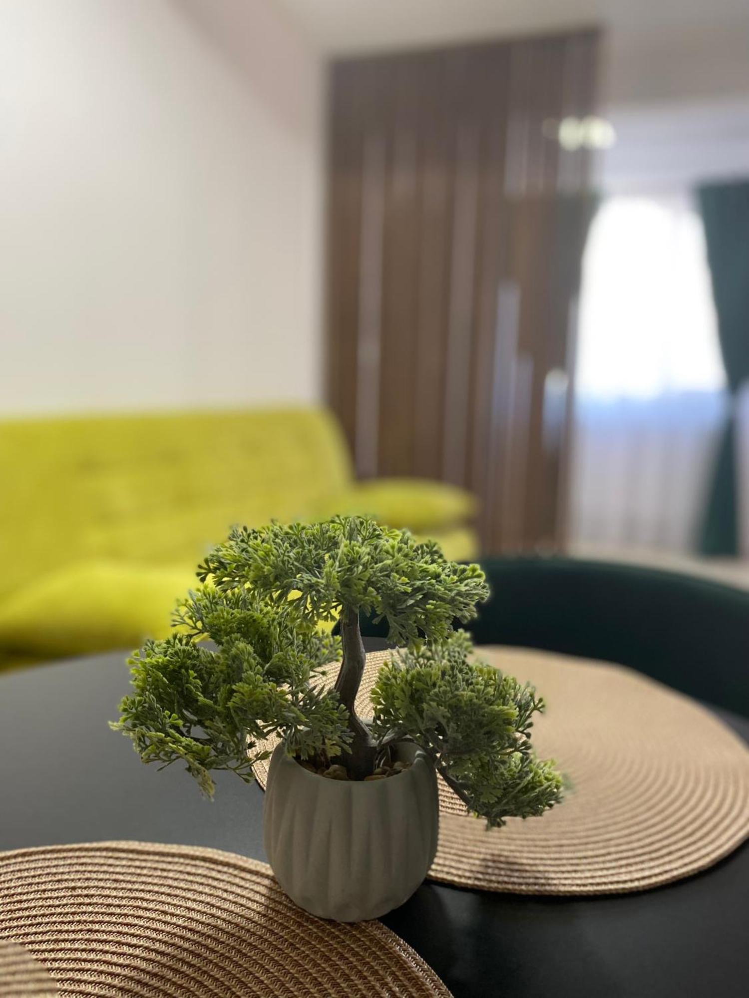 Wonderland Apartment Bistrita  Ngoại thất bức ảnh
